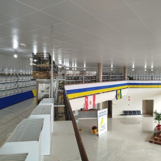 Alajeró sede del XX Campeonato Ornitológico de Canarias con casi 1.300 ejemplares