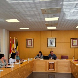 El Ayuntamiento de Alajeró aprueba en pleno importantes asuntos en la sesión celebrada este viernes